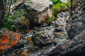 Beautiful mountain creek among rocks. Atmospheric landscape with stones with mosses and lichens in small river. Mossy boulders in cascades of mountain creek. Green plants above water stream in wilds.