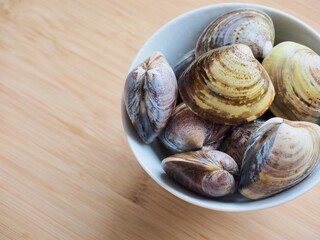 신선한 바다 자연식품 백합조개
