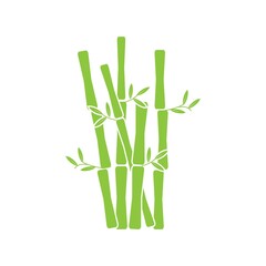 Bamboo with green leaf