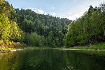Dunajec river Valley in spring