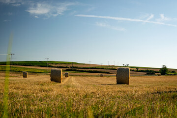 hay bales in the field