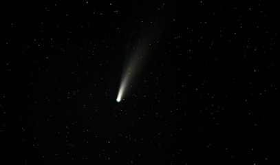 Comet Neowise captured at 200mm focal length, clearly showing dust and ion tails © McCarthys_PhotoWorks