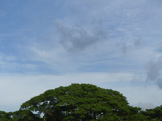 Obraz premium Beautiful sky view in the daylight. sunny day view.