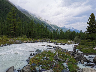 Valleys of the Altai mountains