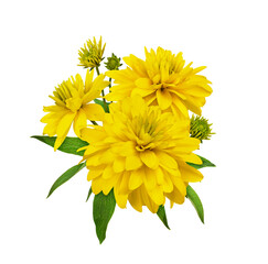 Yellow dissected rudbeckia flowers in a floral arrangement