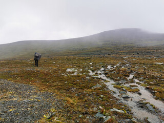Valleys of the Altai mountains