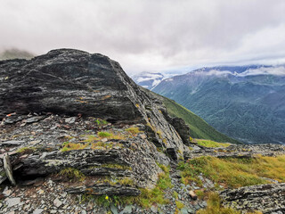 Valleys of the Altai mountains