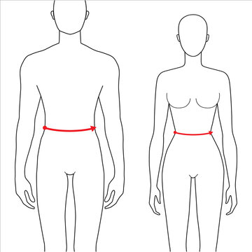 Women and men to do waist measurement fashion Illustration for size chart. 7.5 head size girl and boy for site or online shop. Human body infographic template for clothes. 