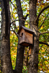 Birdhouse on a tree in a park.