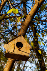 Birdhouse on a tree in a park.