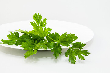 Fresh parsley leaves on a white background.