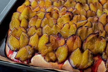Homemade plum cake in Bavaria is called Zwetschgendatschi