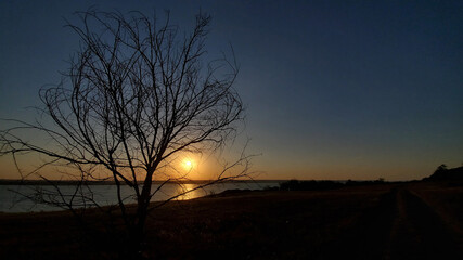 Naklejka premium Sunset over the river. Tree silhouette in sundown. Sunset landscape with bare branched tree silhouette and golden sun over calm lake water. Tranquil sundown scenery with nobody