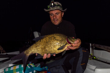 Summer bream caught by nght