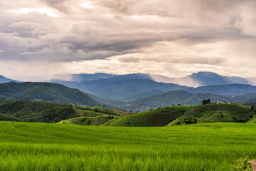 Fototapeta na wymiar Beautiful Landscape green rice terraces field in Pa Pong Pieng, Chiangmai Thailand