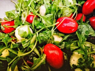 Italian salad with cherry tomatoes and mozzarella, with herbs 