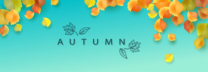 Autumn Leaves Banner - obrazy, fototapety, plakaty