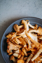 fresh chanterelle MUSHROOMS on grey background with copy space
