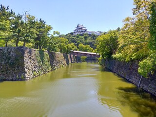 Fototapeta premium お堀と和歌山城