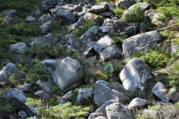 Naklejka na ściany i meble Kamienie w górach 
