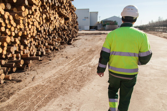 engineer next to a pile of logs at a sawmill