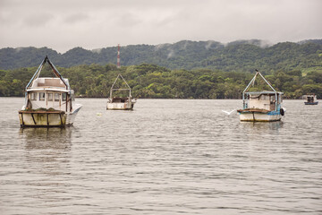 old fishing boats anchored in waters off the town of Livingston