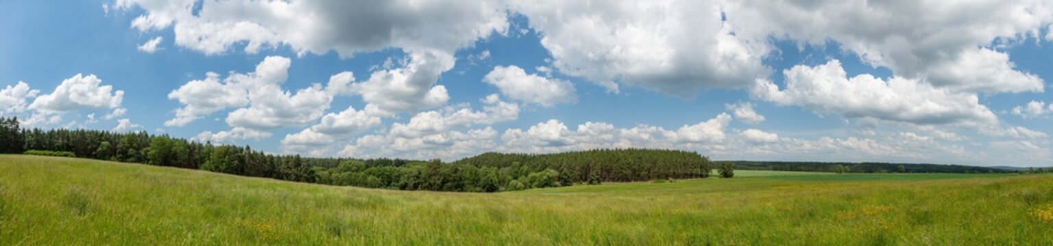 panorama meadow in front of forest, white clouds on blue sky