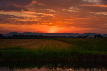 Sonnenuntergang am Kanal Rhone au Rhin im Elsass