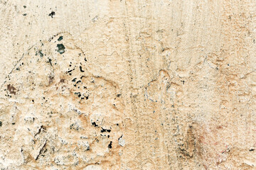 Great colorful background or texture. Abstract concrete is aged with cracks, scratches and remnants of old paint in different shades. Rough concrete surface