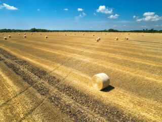 Round bales are bales of hay, straw or forage rolled in the shape of a large cylinder. When the legumes grow to a certain height, they are cut and dried in the field by the heat of the sun