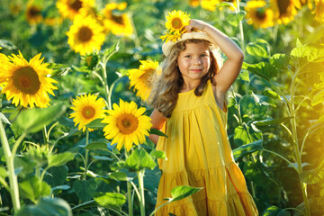 Child in a sunflower field. High quality photo.