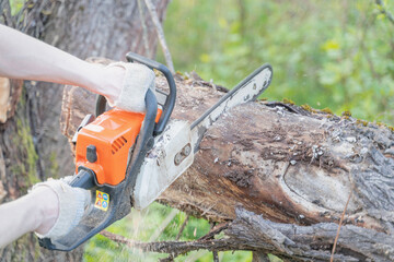 farmer sawing a tree with a chainsaw, selective focus, focus on the foreground, blurry background
