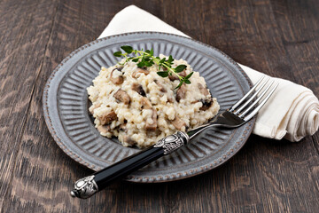 Mushroom risotto on plate, close up view
