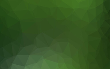 Light Green vector abstract polygonal cover.