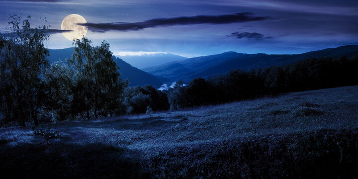 trees on the meadow in mountains at night. beautiful scenery in full moon light. clouds on the sky. ridge in the distance