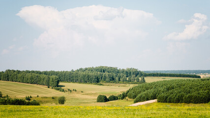 Fototapeta na wymiar Beautiful summer rural landscape: fields, forests and blue sky. Tranquil landscape, green hills in summer. Concept about travel, tourism or study.