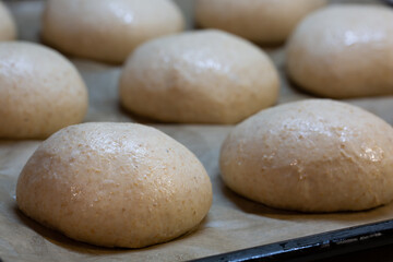 Whole grain burger buns. Proofing the dough before baking. Preparation