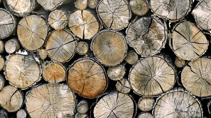 Fototapeta premium Natural wooden background - close up of chopped firewood. Firewood stacked and prepared for winter. Pile of wood logs. Stacks of Firewood. Preparation of firewood for the winter.