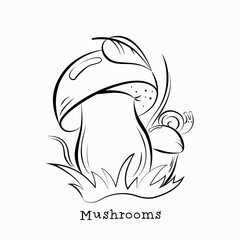Mushrooms in the grass with a leaf and a snail on the cap. Contour image for coloring. Vector illustration isolated on a white background. © svetlana