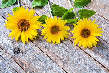 Beautiful yellow sunflower flowers on a wooden table