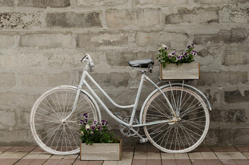 Fototapeta na wymiar Vintage white bicycle on a background of a concrete wall with two boxes of flowers. Central location.