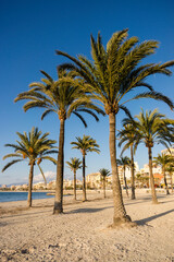 Fototapeta na wymiar Arenal beach. Mallorca. Islas Baleares. Spain.