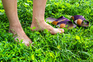 Fototapeta premium The man dropped his shoes and walked on the dewy green grass