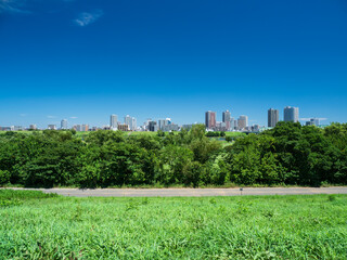 Fototapeta premium 真夏の青空広がる東京都赤羽の風景。奥の町並みは埼玉県川口市。8月。