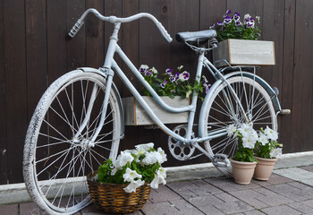Vintage white bicycle on the background of a wooden fence with a basket, boxes of white and purple flowers close-up.
