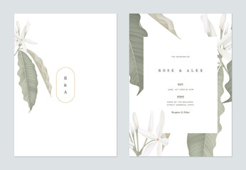 Floral wedding invitation card template design, Medicinal Kopsia flowers on white - 370726174
