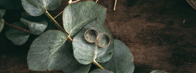 Horizontal banner with closeup wedding rings on eucalyptus leaves with wooden background. Bridal...
