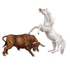 Naklejka premium combat de cheval et le taureau, force, attaque, debout, animal, brun, mammifère, joli, sauvage, agressive, dangereux, illustration, de race, ferme, fond blanc, coloré, fantastique, musclé, fort 