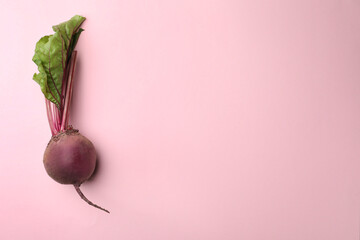 Whole fresh red beet on pink background, top view. Space for text - obrazy, fototapety, plakaty