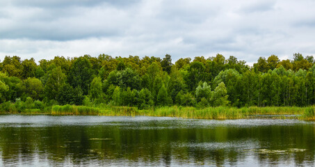 Forest lake trees landscape. Lake view in summer. Sun glare on the water surface. Selective focus.